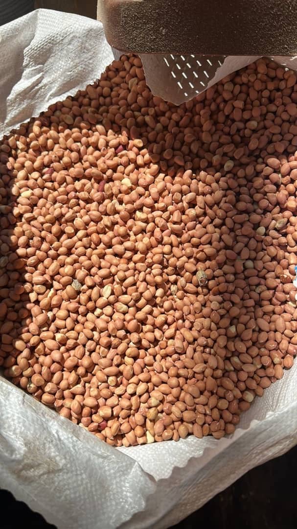Bulk groundnuts in a commodity bag